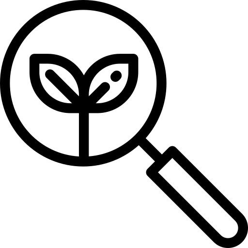 Magnifying glass