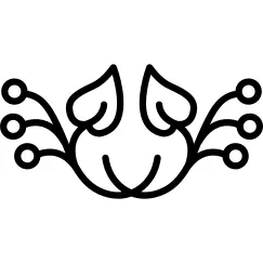 Floral design of horizontal symmetry