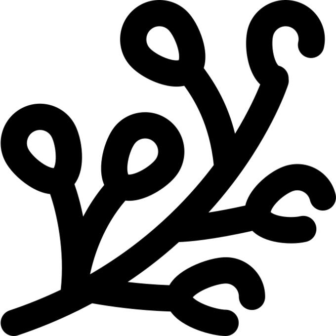 Buds