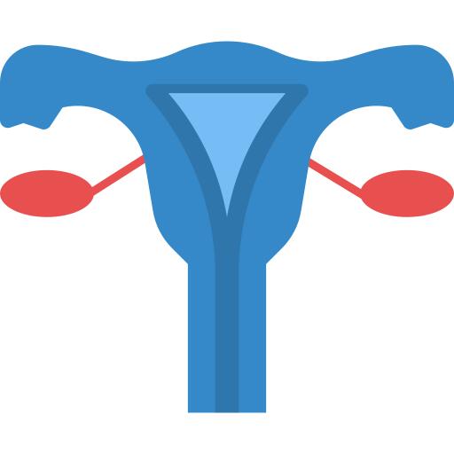 Uterus