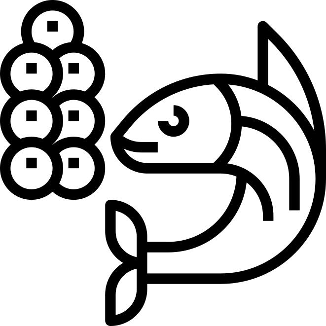 动物