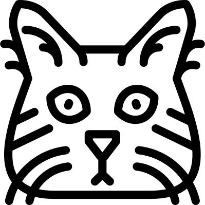短尾猫