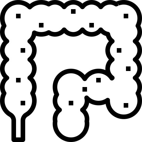 Colon