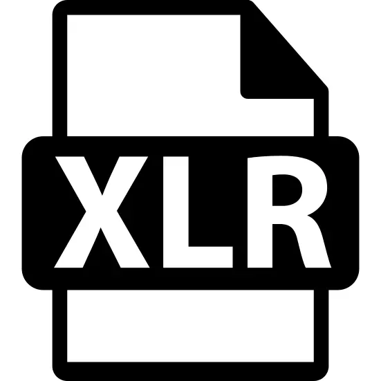 XLR文件格式变体