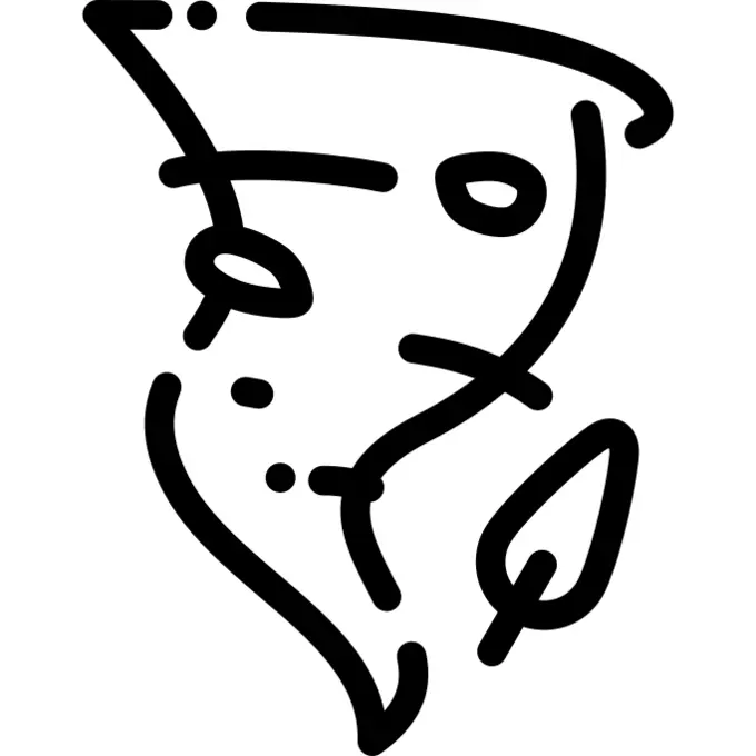 龙卷风