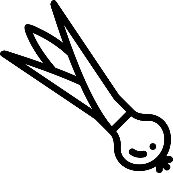 Spring onion