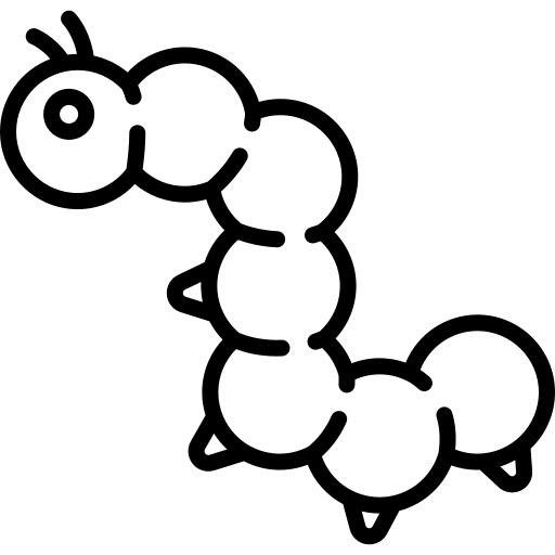 毛虫