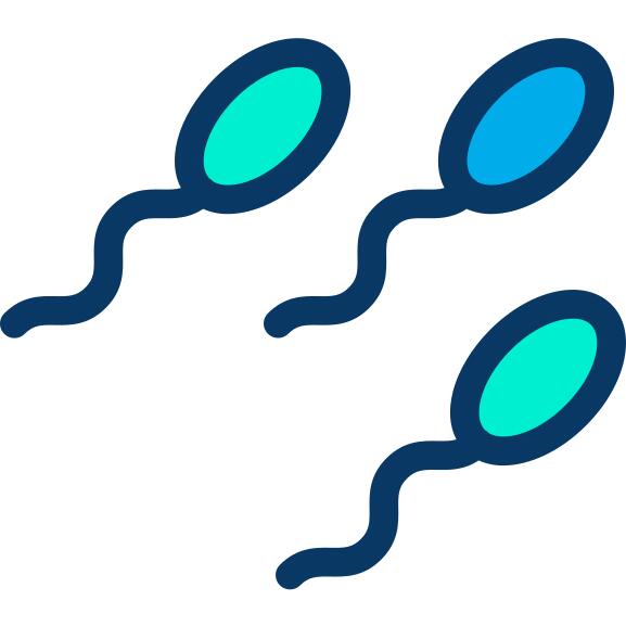 精子