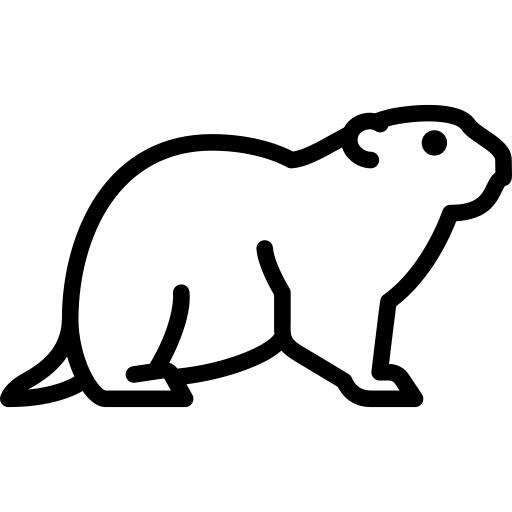 Groundhog