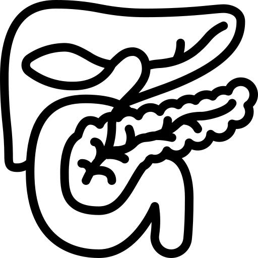 胰腺