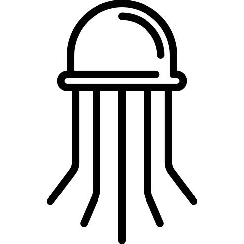 大水母