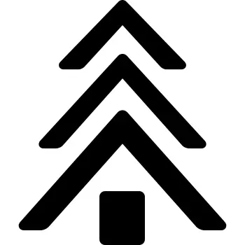 Pine