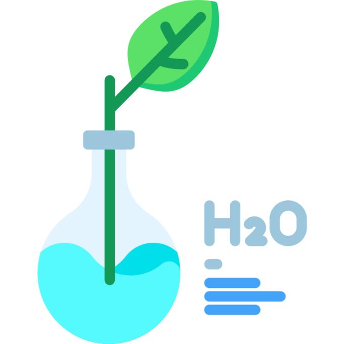 H2O