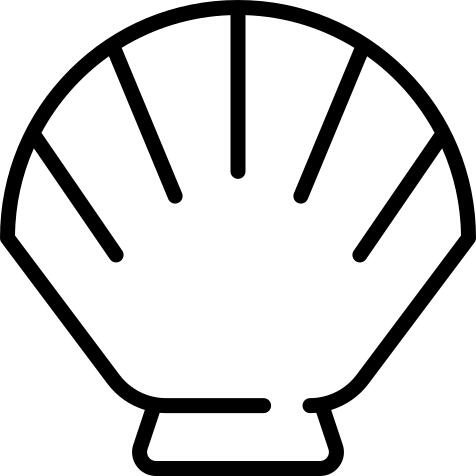 一个壳牌