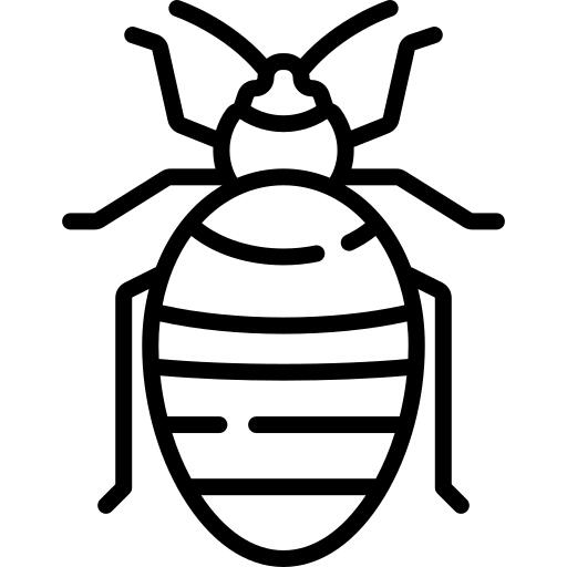 Bedbug