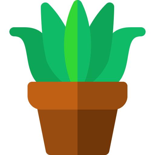 芦荟