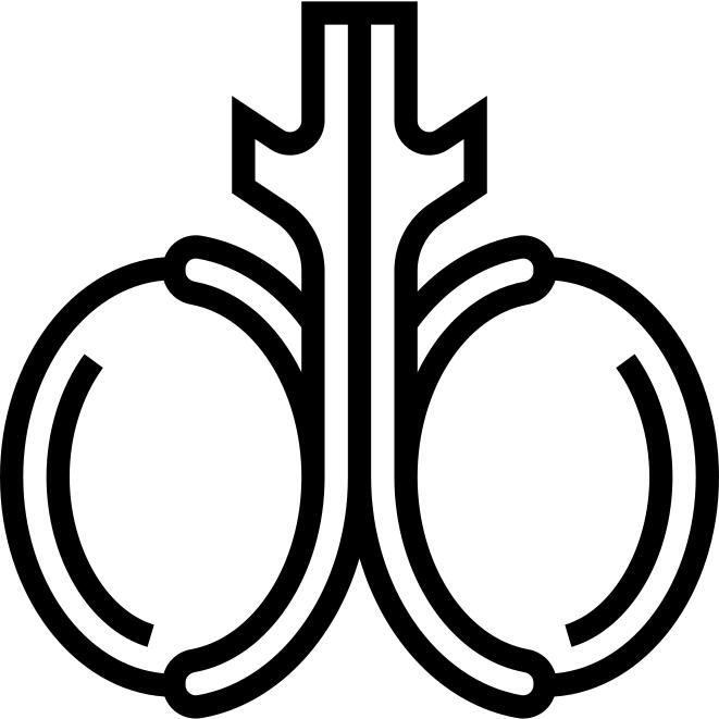 Testicles