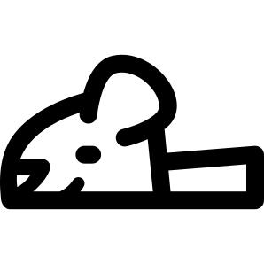 Children Slipper