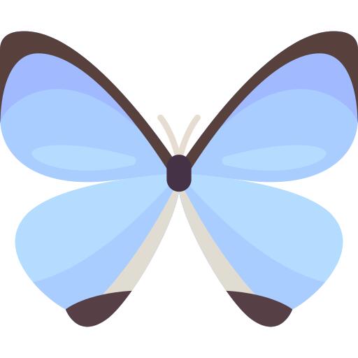 蝴蝶