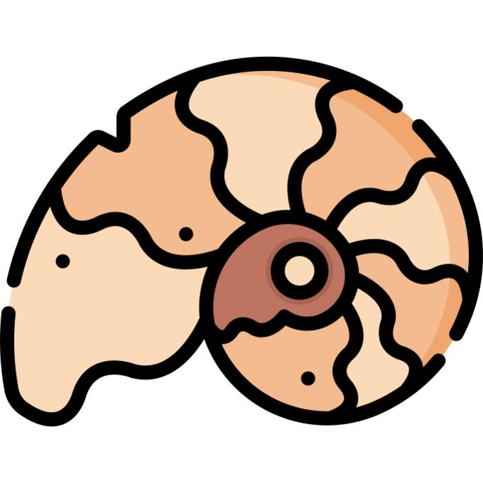 Fossil