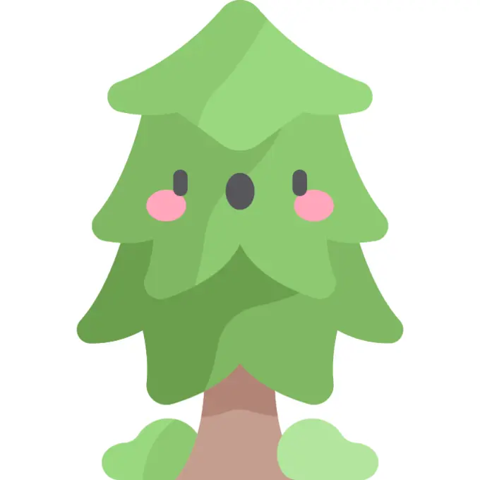 Pine tree