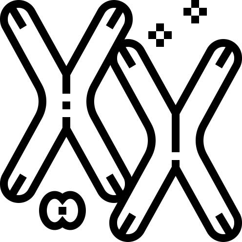 Chromosome