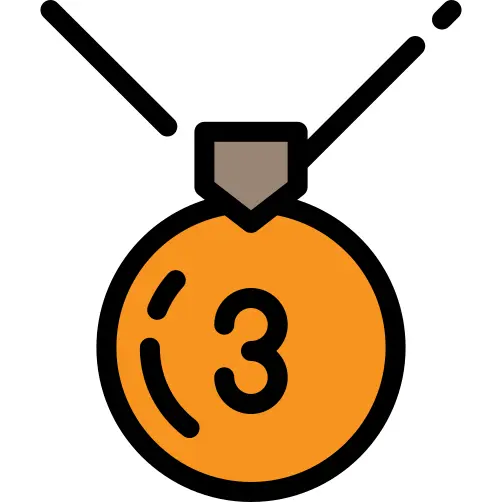 Bronze medal