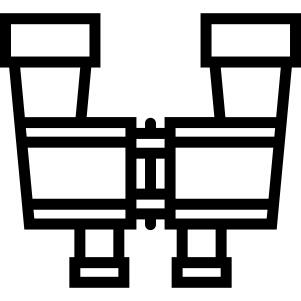 Pair of Binoculars