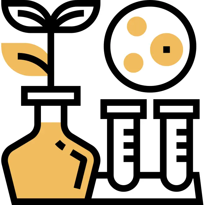 生物