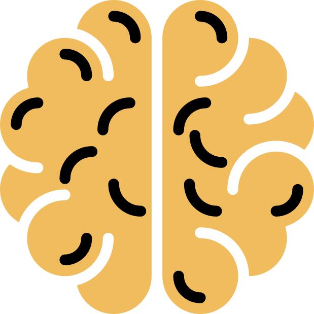 Brain