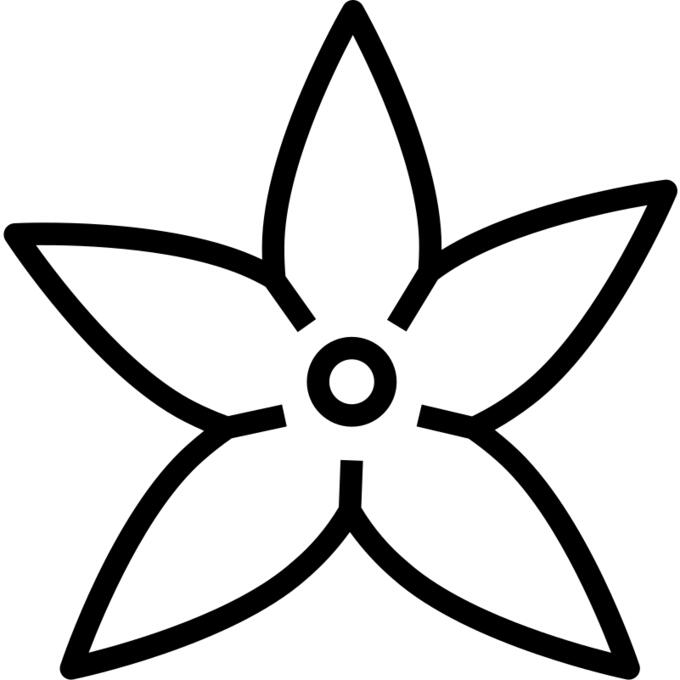 Jasmine