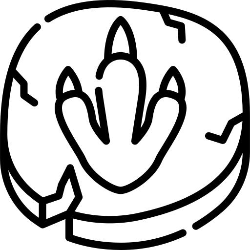 Footprint
