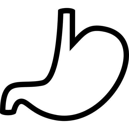 Stomach