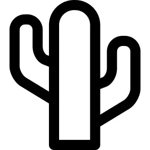 Cactus