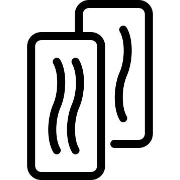 两个Bacoon切片
