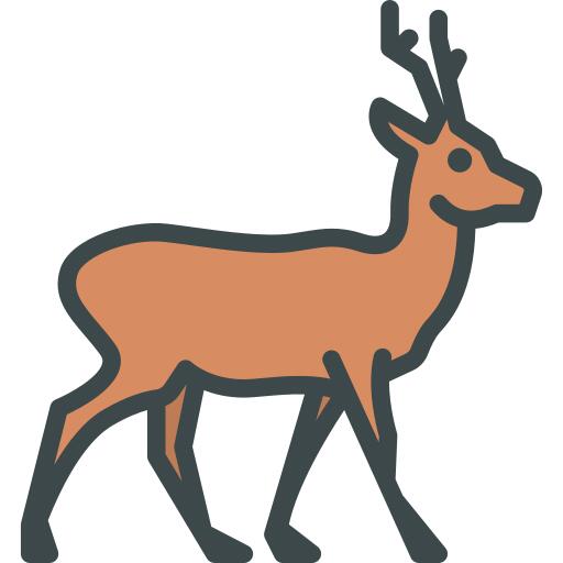Roe