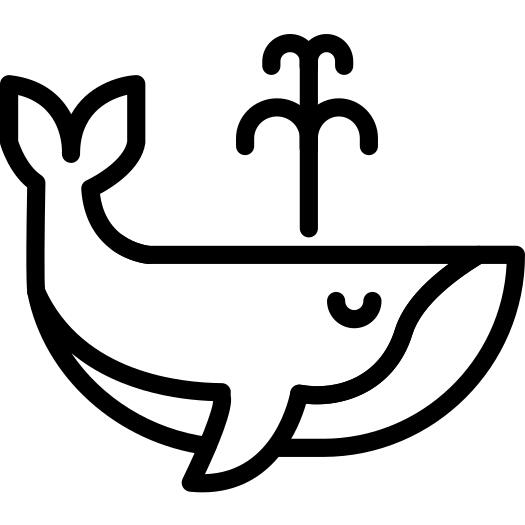 Whale