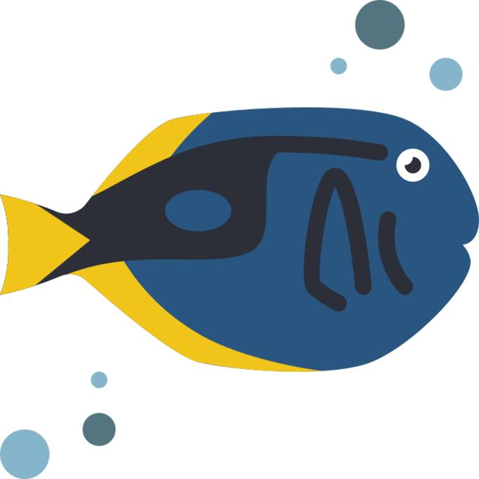 Surgeon fish