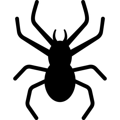 Poisonous Spider