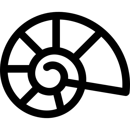 化石