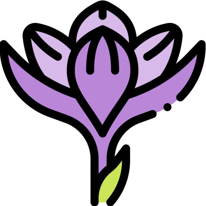 Crocus