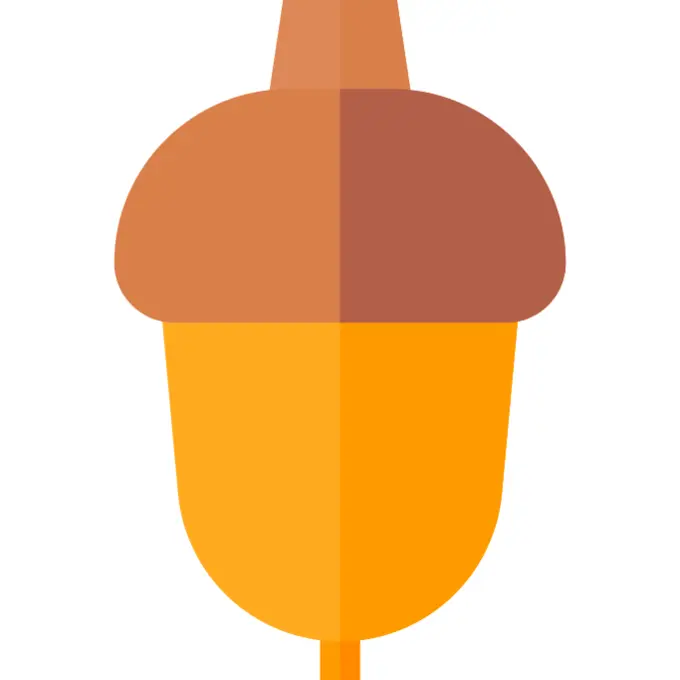 Acorn