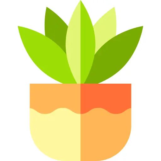 Fern