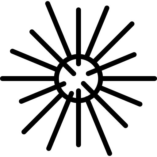 Sea Urchin