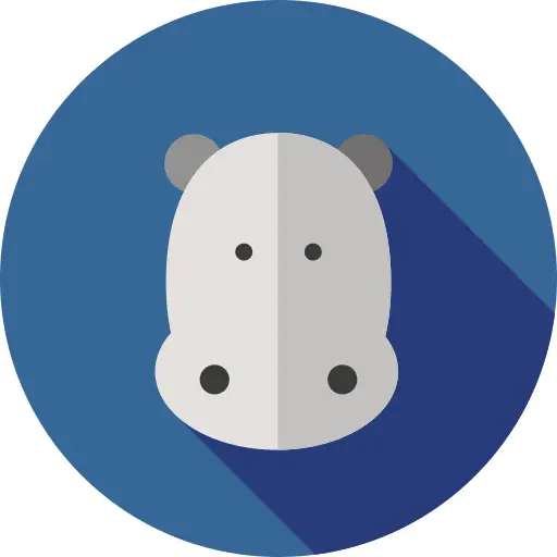 Hippopotamus