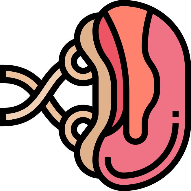 Spleen