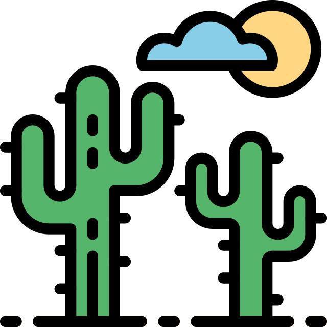 Cactus