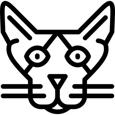 康沃尔雷克斯猫