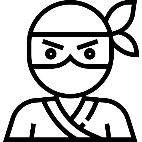 Ninja
