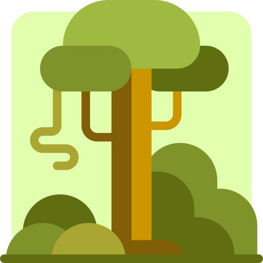 Rainforest